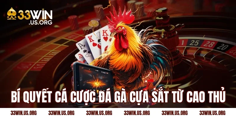 Bí quyết cá cược đá gà cựa sắt từ cao thủ