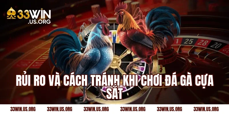 Rủi ro và cách tránh khi chơi đá gà cựa sắt