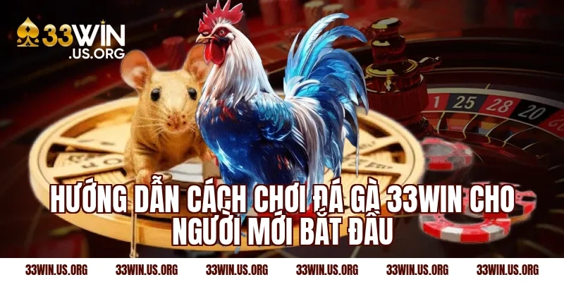 Hướng dẫn cách chơi đá gà 33win cho người mới bắt đầu