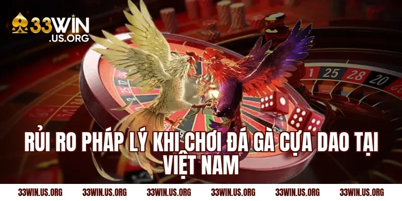 Rủi ro pháp lý khi chơi đá gà cựa dao tại Việt Nam