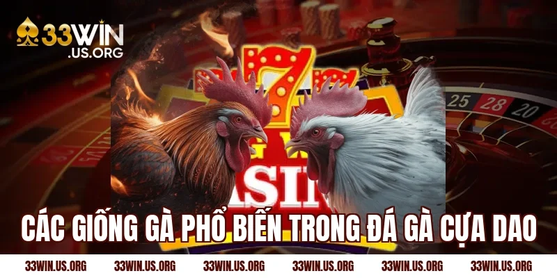 Các giống gà phổ biến trong đá gà cựa dao