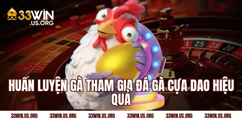 Huấn luyện gà tham gia đá gà cựa dao hiệu quả