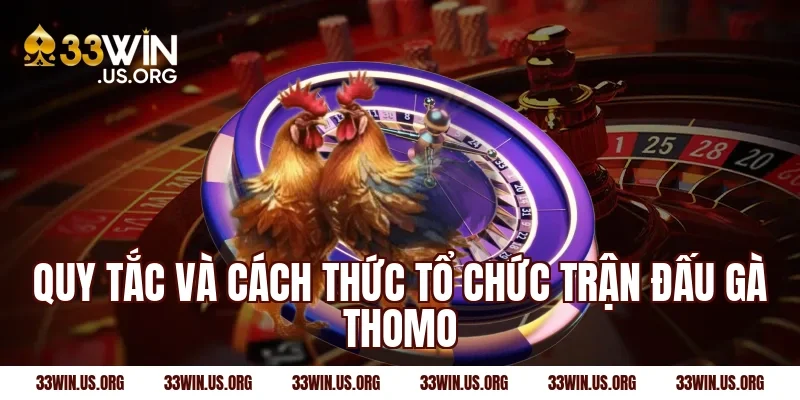 Quy tắc và cách thức tổ chức trận đấu gà Thomo