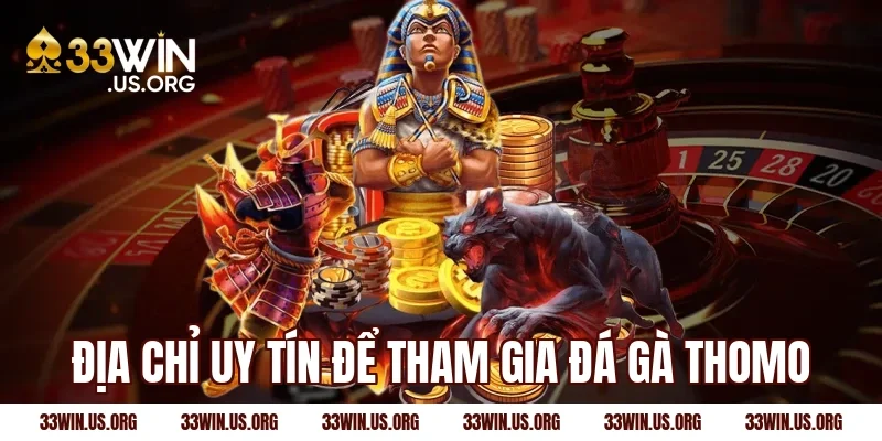 Địa chỉ uy tín để tham gia đá gà Thomo