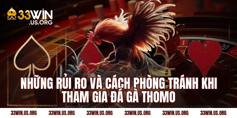 Những rủi ro và cách phòng tránh khi tham gia đá gà Thomo